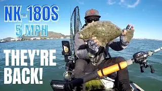 Early Halibut Report on the Electric Kayak! Easy 'but Rig