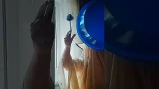 сумасшествие это ее стиль жизни! 