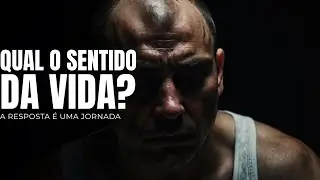 A VIDA TEM SENTIDO? As Respostas de Marco Aurélio, Nietzsche e Frankl