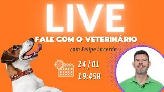 96 | FALE COM O VETERINÁRIO - Live gratuita para você perguntar tudo sobre seu cachorro ou gato!