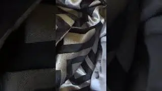 Mango trapped herself under the blanket 