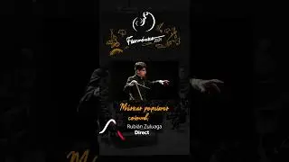 Programación conciertos semana 14 y 15  de junio 2024
