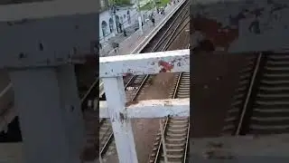 Проезд "Сапсана"