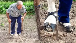 Agricultural tool from the 17th century to till the field. Manufacturing and use