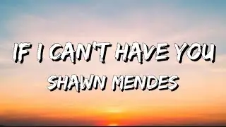 Shawn Mendes - If I Can’t Have You // Lyrics