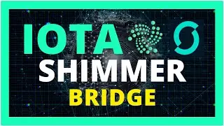 ¿Cómo utilizar ShimmerBRIDGE? PASO a PASO
