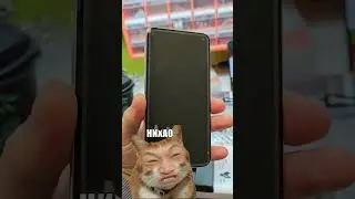 Не работает камера на Samsung s10e 😱 