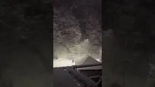 это в последний раз ?
