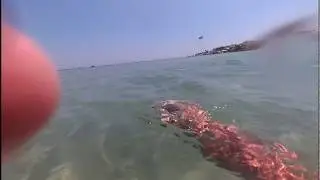 НАШЕЛ ЗОЛОТО на 5 мин. Коп лето 2017 Турция Подводный коп с Vibra tесtor 730. Удачно занырнул с МД.