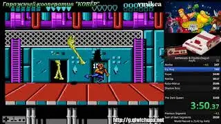 Battletoads and Double Dragon NES 