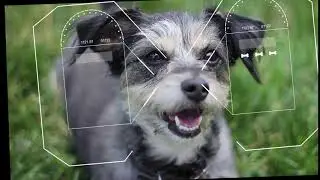 Study - Pluralsight After Effects Tracking 3