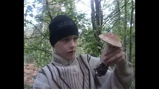 Остров. Грибы пошли !