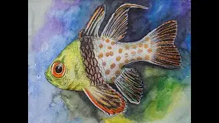 Aquarium Fish #paintwithme