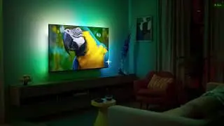 Philips 4K UHD Ambilight Android Tv with its miraculous features