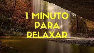 Um momento para Relaxar e Acalmar a Mente!! #shorts