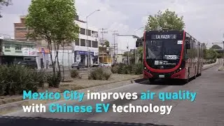 Mexico City improves air quality with Chinese EV technology