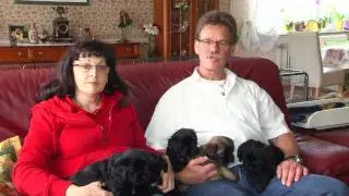 Rangshi TIbet Terrier Hobbyzucht - Wir stellen uns vor