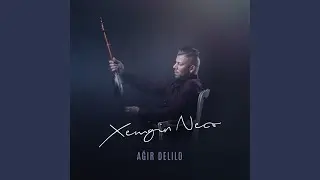 Agir Delilo (Bomba Geliyor)