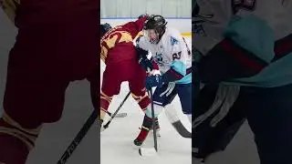 Нас объединяет 🏒 хоккей! С праздником, товарищи хоккеисты #hockey #shl #хоккей