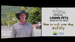 Walking your dog safely