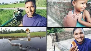 आज खेत में सिंचाई करने गए|| ये क्या मिला|🥺 @aaraadilvlog