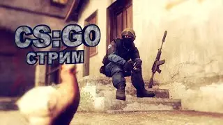 Вечерний  стрим//Общение//Cs:Go
