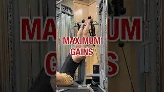 Build BIGGER Arms (DO THESE!)