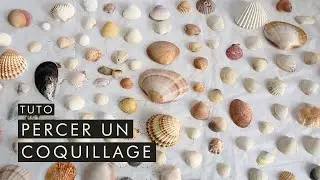 [Tuto] Comment percer un coquillage ? Monter en bijou ses souvenirs de vancances