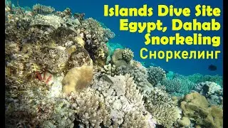 Snorkeling in Dahab, Islands dive site, Egypt