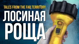 ПОСЛЕДНИЕ ШТРИХИ ► THE LONG DARK (TALES FROM THE FAR TERRITORY - Part Three) # 5