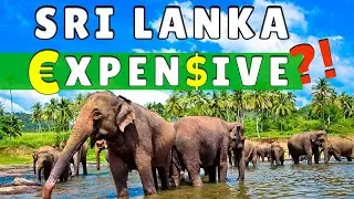 How expensive is Sri Lanka - Sri Lanka on a 10 day budget