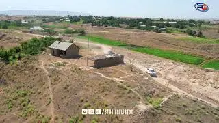 Туй Гулистон 2. 09.06.2024