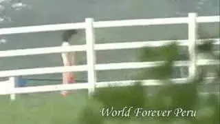 Ahn Jae Wook - Fairy and Swindler