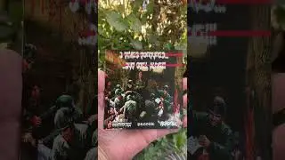 Agathocles X Archagathus X Preguh split CD 💿 #cd #cdcollector #mincecore
