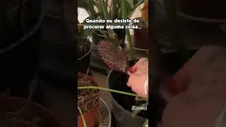 Veja mais vídeos aqui 🥰 kwaiA gente brinca de caça ao tesouro sempre aqui, e aí? 😵‍💫🤣 #vidademae