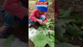 BOCIL CILIK YANG LAGI VIRAL 