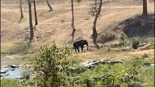 Ooty to Masingudi Nature Reserve