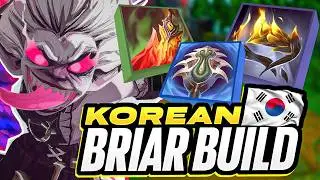 TRYING NEW KOREAN BRIAR BUILD AFTER THE BUFFS!