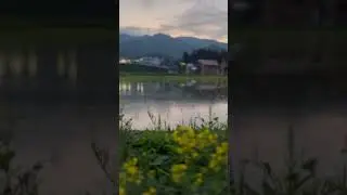 今週もお疲れさまでした🫶新潟は僕の第三の故郷だと思っています。ここには大好きなモノが沢山あって、ここにカエルと、少し眠くなります。#音楽のある生活#美しい世界#音楽家　#DailyLife