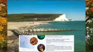 Смотреть  - Лекарство При Орви