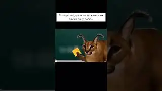 #мем