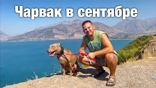 Излюбленное место отдыха жителей и гостей Узбекистана