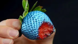 КАК ДАЛЬТОНИКИ ВИДЯТ МИР