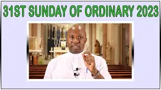 31st Sunday of Ordinary time 2023. Homily for 05 November 2023.