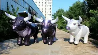 Funny Inflatable Cow Costumes