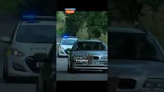 Фазан или курица? 🤣 