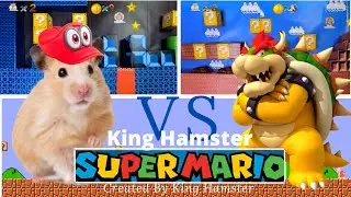 🐹 Hamster Escapes the Super Mario maze in real life