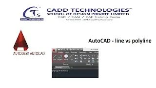 AutoCAD - line vs polyline