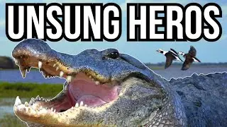 3 Native Species That Hunt And Control Invasive Species