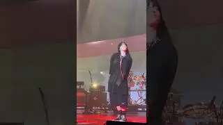 For The First Time Ever, Billie & Paramore Perform All I Wanted